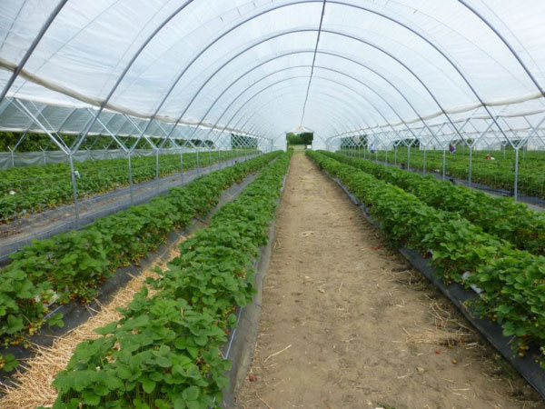 風途科技推出物聯網氣象傳感器 風途科技推出物聯網氣象傳感器